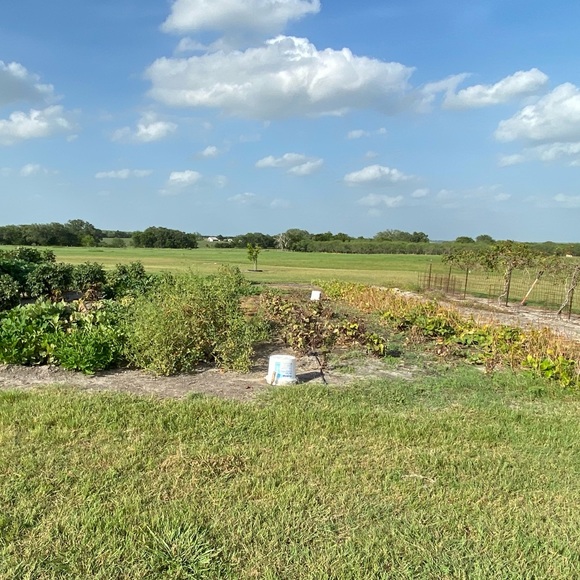 Meet your Posher, Toyi - Picture 1 of 1